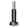 Trend 1004/20TC Lip And Spur Two Wing Bit (20mm Diameter)