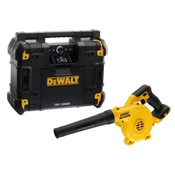 DeWalt DWST1-81079 TSTAK DAB+ BT Radio XR Battery Charger & DCV100-XJ Blower Bundle