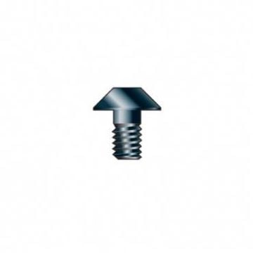Trend RT/M3.0 Screw dome screw M3 x 4mm Slot